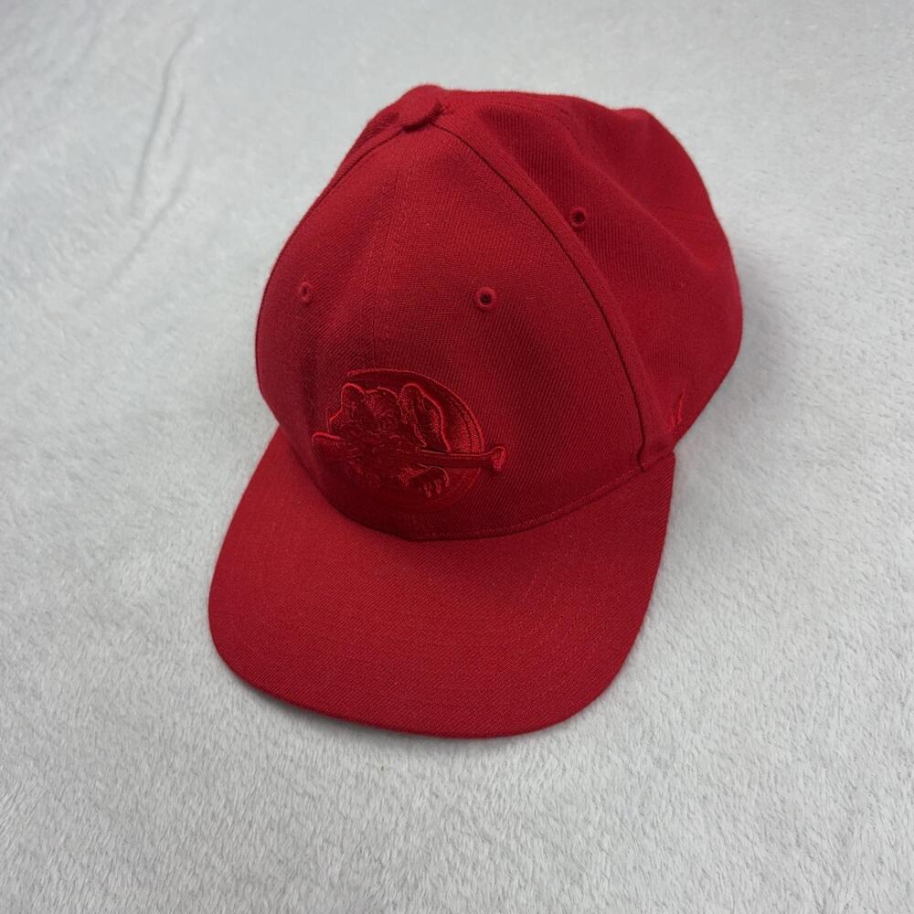 Charleston River Dogs '47 Hat Cap Snap Back Men One Size Red Baseball